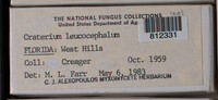 Image Associated With the Occurence
